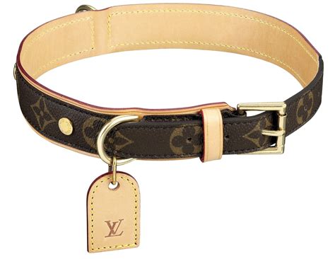 louis vuitton collar pm|luxury dog collars louis vuitton.